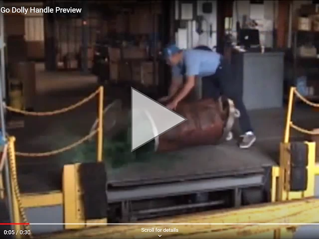 24 Preview video image