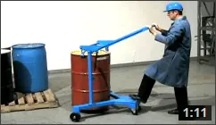 81 video image